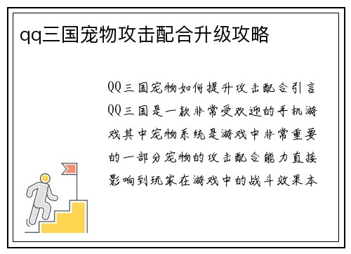 qq三国宠物攻击配合升级攻略